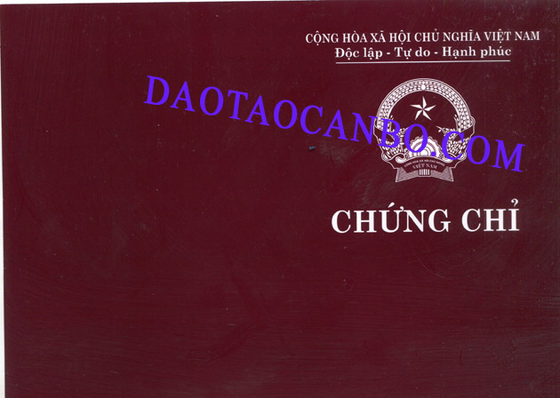 chung chi dau thau va quan ly du an